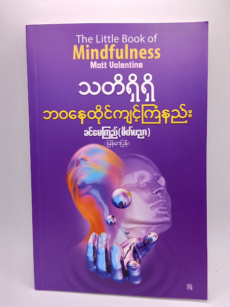 သတ်ိရှိရှိ ဘဝနေထိုင်ကျင့်ကြံနည်း (ခင်မေကြည်(စိတ်ပညာ))