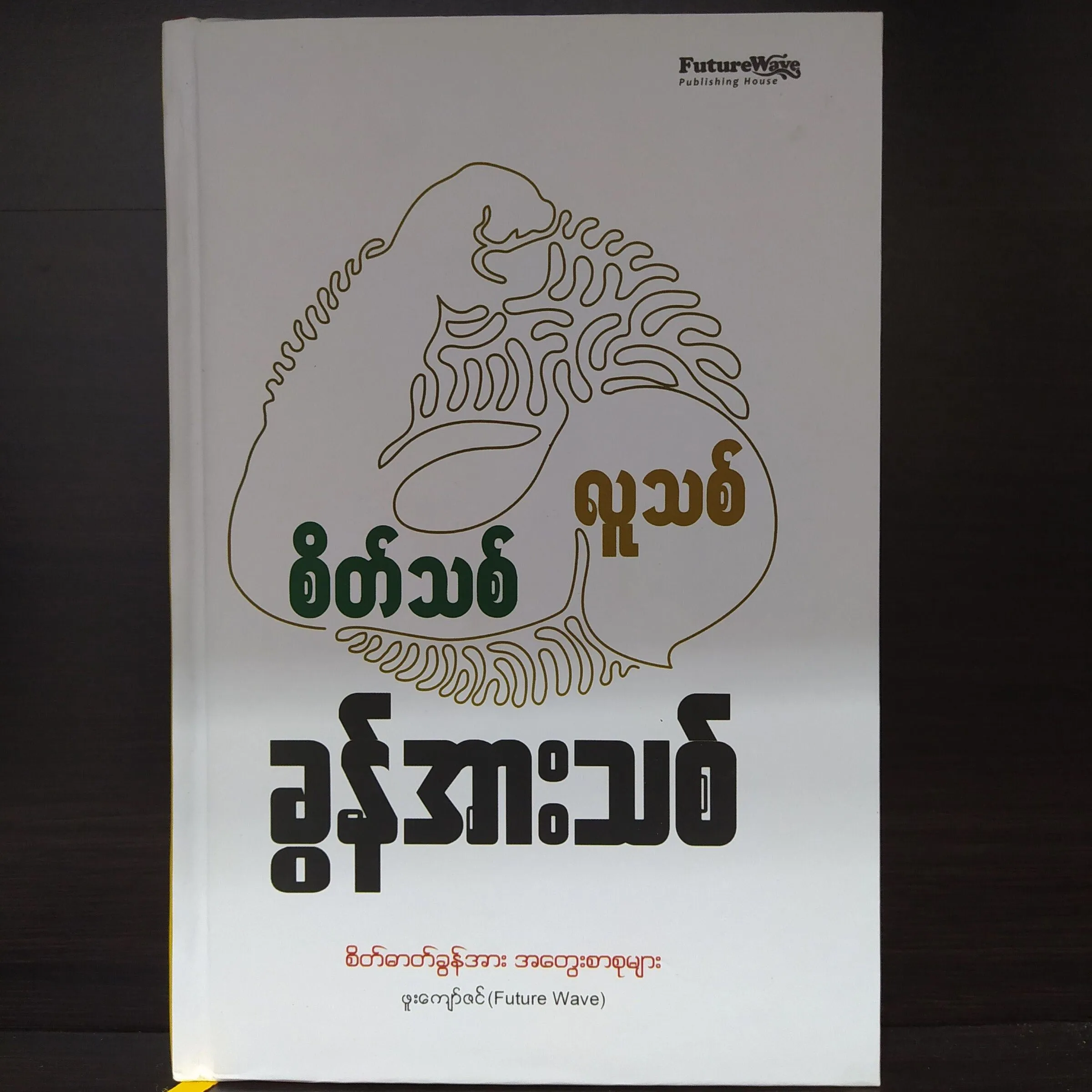 စိတ်သစ် လူသစ် ခွန်အားသစ် (ဖူးကျော်ဇင်)