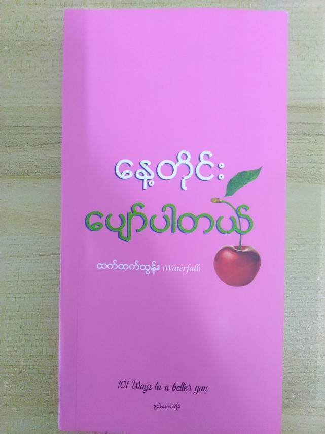 နေ့တိုင်းပျော်ပါတယ် (ထက်ထက်ထွန်း)