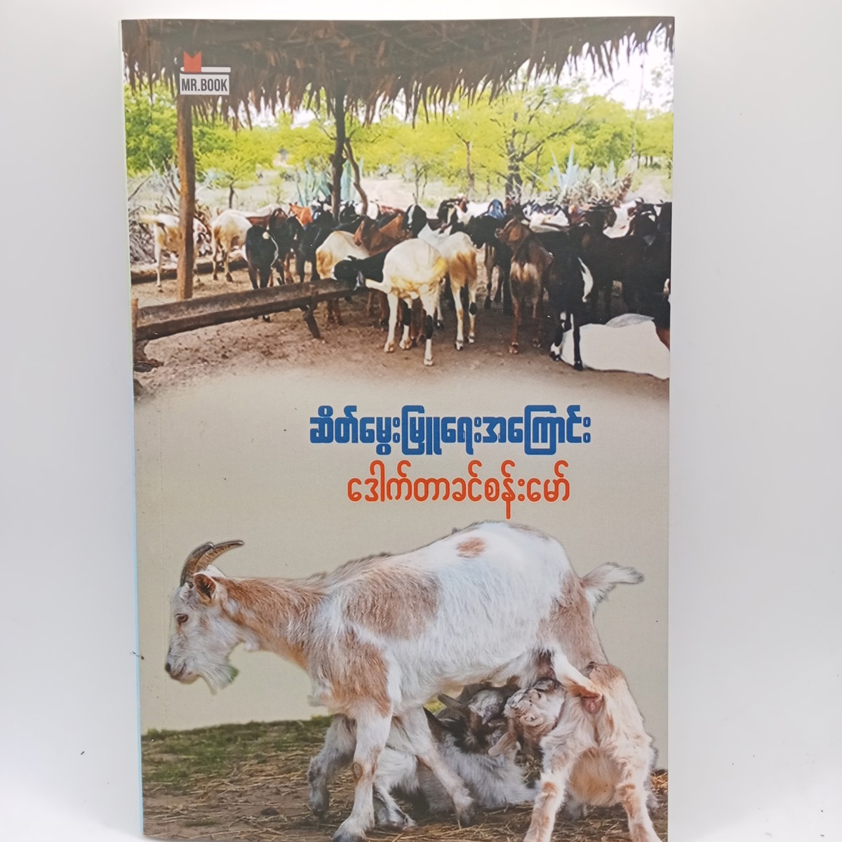 ဆိတ်မွေးမြူရေးအကြောင်း (ဒေါက်တာခင်စန်းမော်)