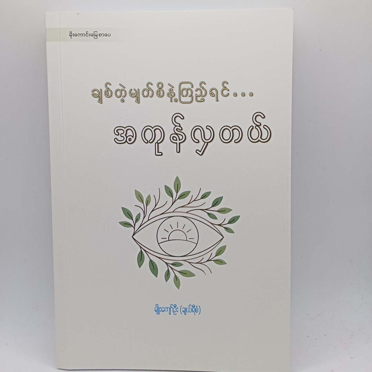 ချစ်တဲ့မျက်စိနဲ့ကြည့်ရင်...အကုန်လှတယ်