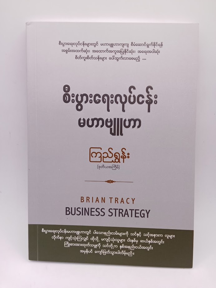 စီးပွားရေးလုပ်ငန်းမဟာဗျူဟာ (ကြည်ရွှန်း)