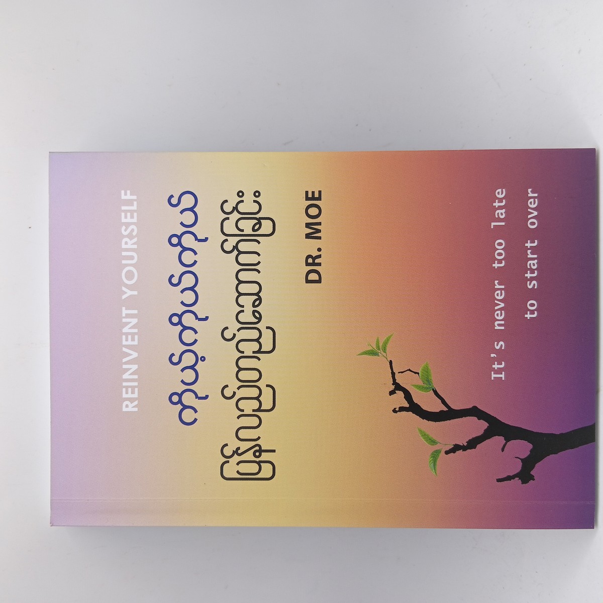 ကိုယ့်ကိုယ်ကိုယ် ပြန်လည်တည်ဆောက်ခြင်း (DR.MOE)