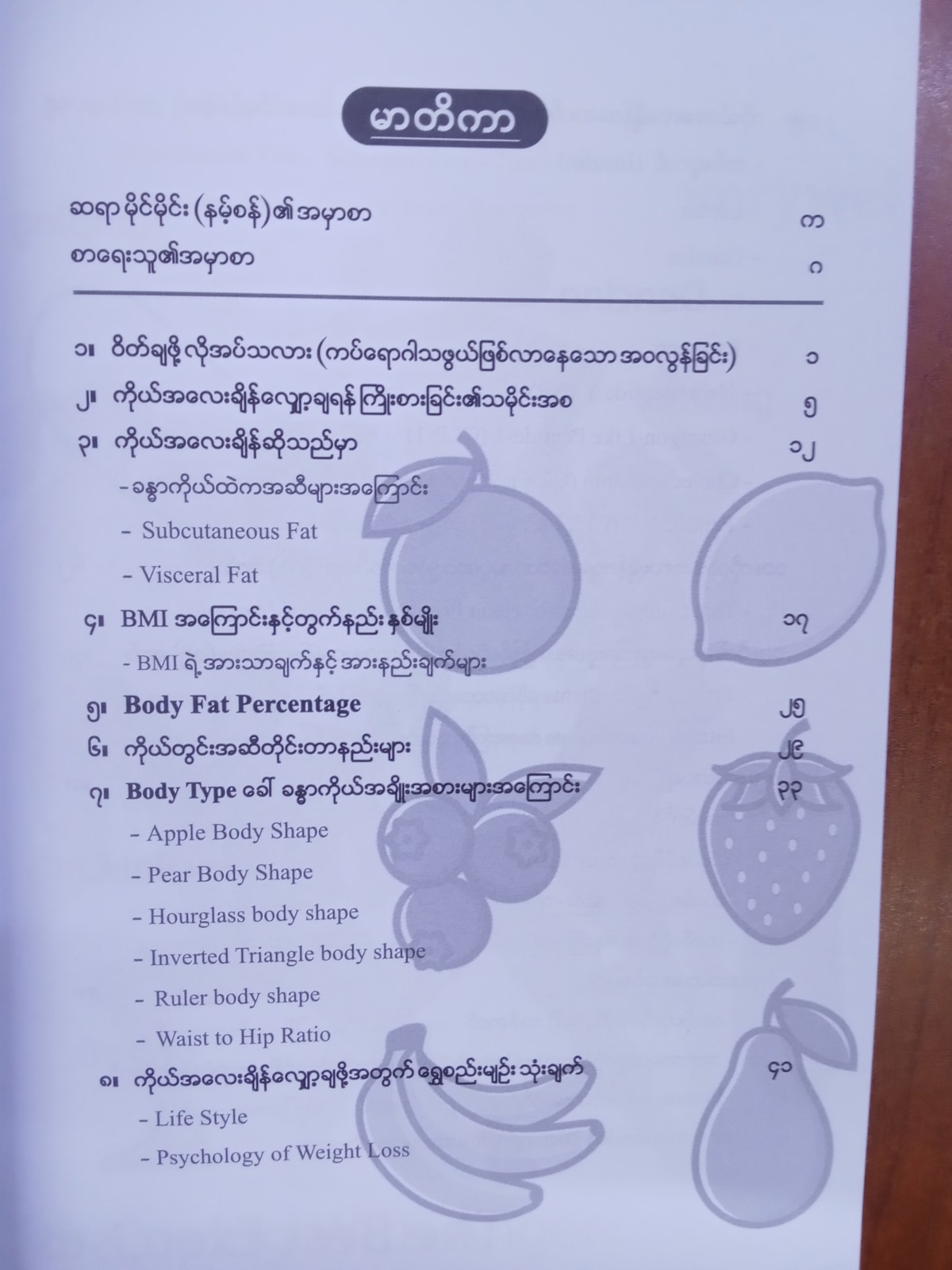 ဝိတ်ချခြင်းအနုပညာ (နိုင်ဦး-၁၁၉)