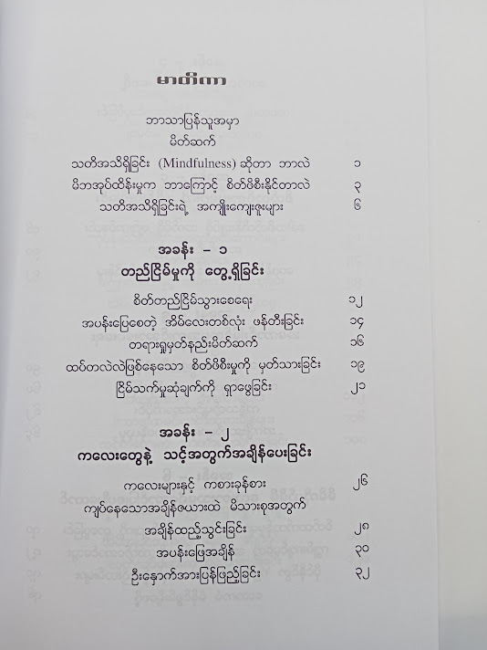 သတိဖြင့်မိဘအုပ်ထိန်းမှု အနုပညာ(မျိုးလွင်(MBA) )
