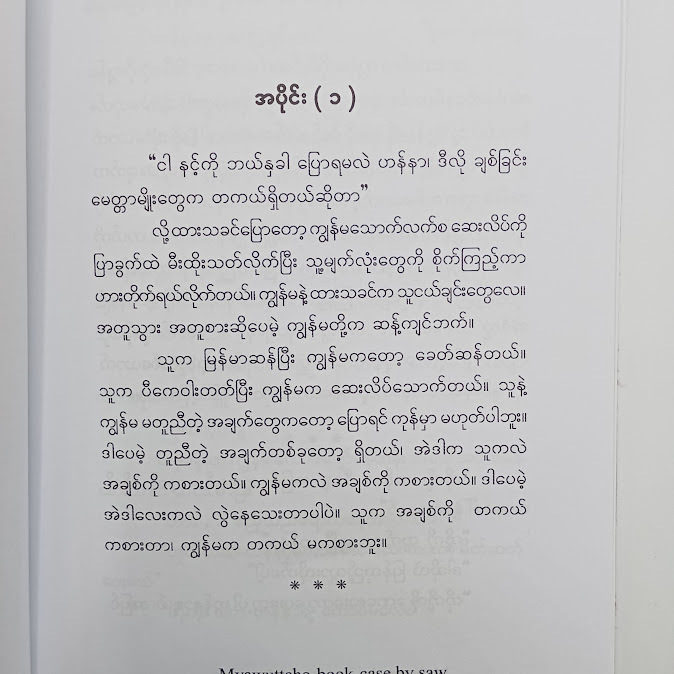 ကမ္ဘာကြီးလောက် ချစ်ပြီးသည့်နောက် - မယ်ညို