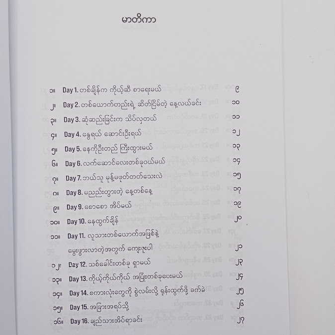 ရက်၁၀၀ ရဲ့ ဒိုင်ယာရီ - နိုင်းနိုင်းစနေ