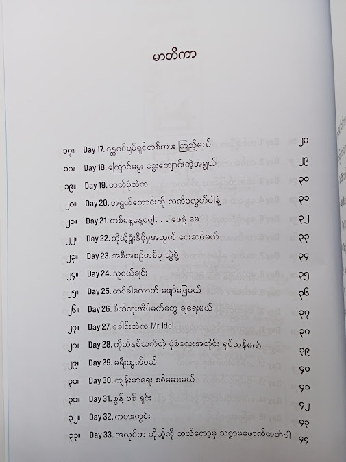 ရက်၁၀၀ ရဲ့ ဒိုင်ယာရီ - နိုင်းနိုင်းစနေ
