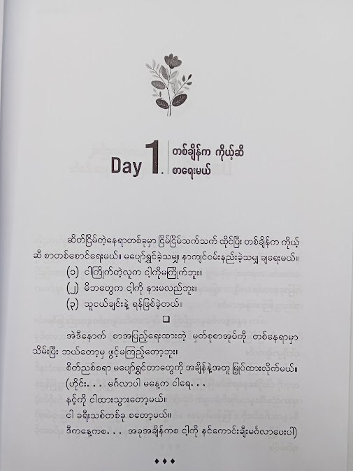 ရက်၁၀၀ ရဲ့ ဒိုင်ယာရီ - နိုင်းနိုင်းစနေ