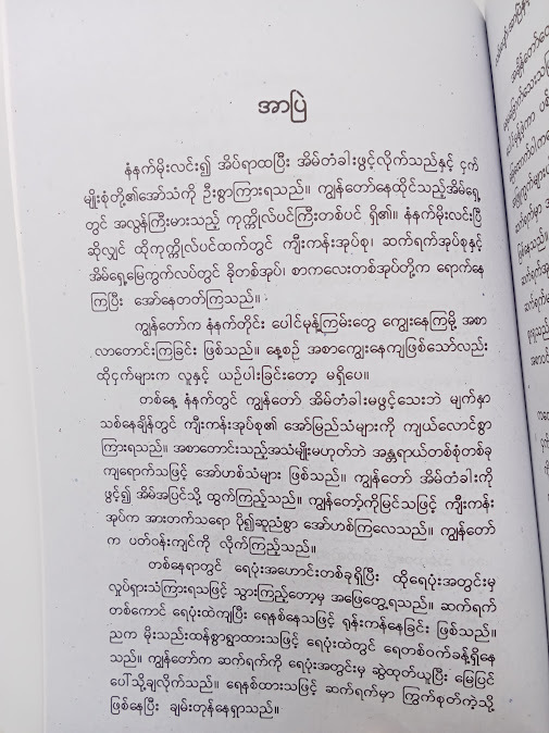 လမ်းပျော် အာပြဲနှင့် ရေဆုံးကုန်းတစ်ဝက် - နိုင်သျှား