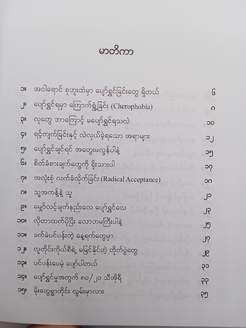 အဝါရောင်စုဘူးထဲမှာ ပျော်ရွှင်ခြင်းတွေရှိတယ် - စူးရှမေ