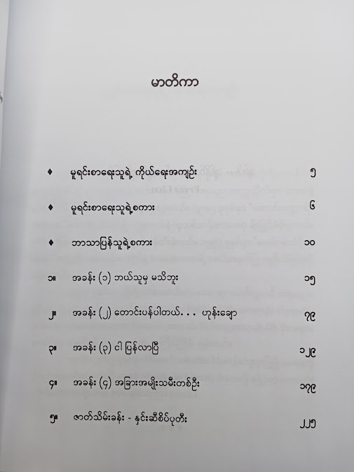 ကျေးဇူးပြု၍မေမေ့ကို ကြည့်ရှု စောင့်ရှောက်ပါ - နိုင်းနိုင်းစနေ