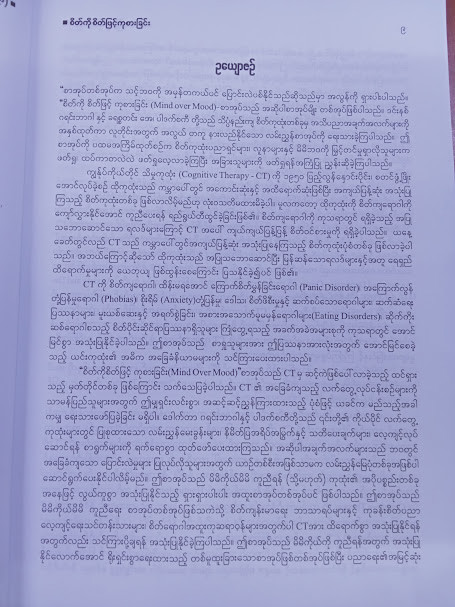 စိတ်ကို စိတ်ဖြင့် ကုစားခြင်း