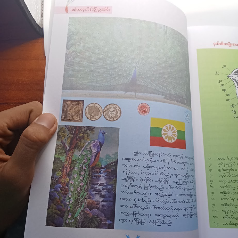 သုတရတနာသိုက် ၂ [ပဥ္ဧဂံစာတည်းအဖွဲ့]
