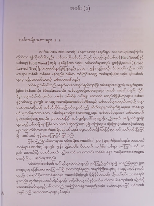 သစ်အခြေခံလက်သမားအတတ်ပညာ(ဦးကျော်နိုင်)