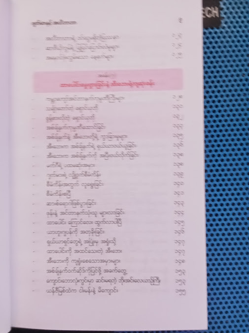 အီလွန်မတ် (ELON MUSK) (ဗန်းမော်သိန်းဖေ)