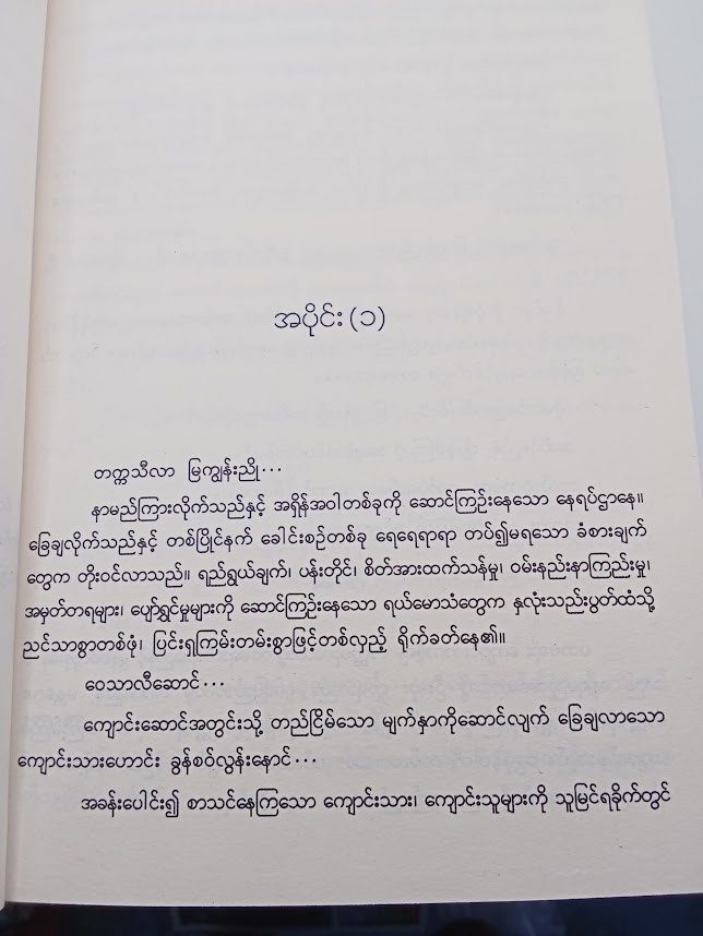 မြကျွန်းညိုမှ လိပ်ပြာမှတ်တမ်း[ဆီးနှင်းခဲ]